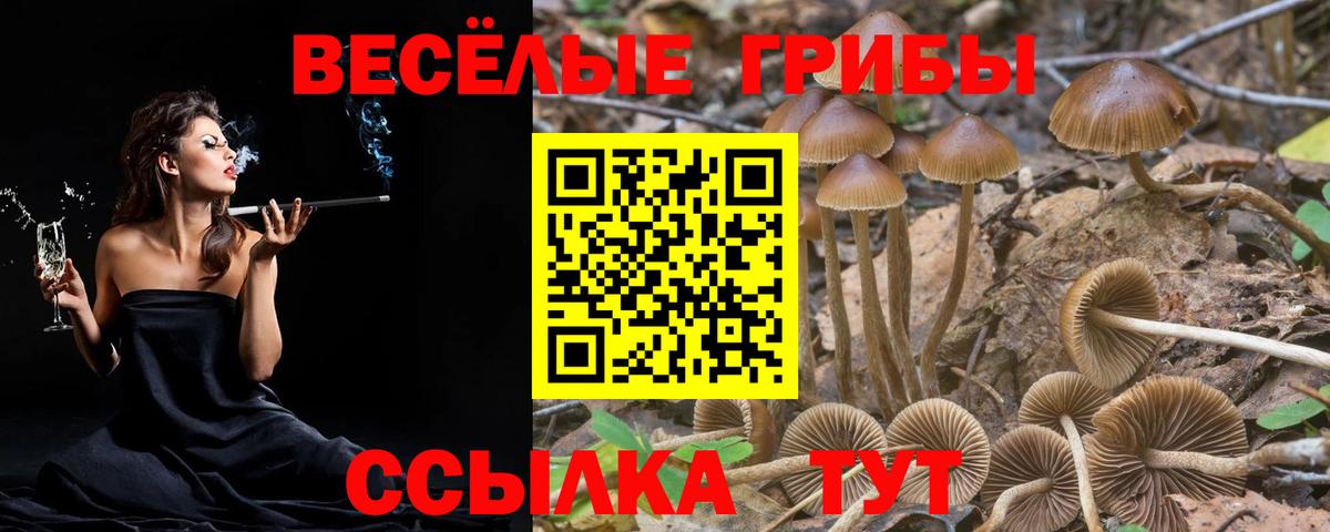 Галлюциногенные грибы прущие грибы Барабинск