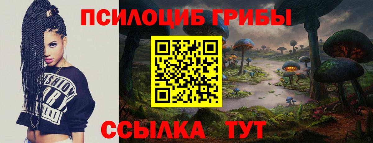 Барабинск  Галлюциногенные грибы Cubensis  Вход с VPN 